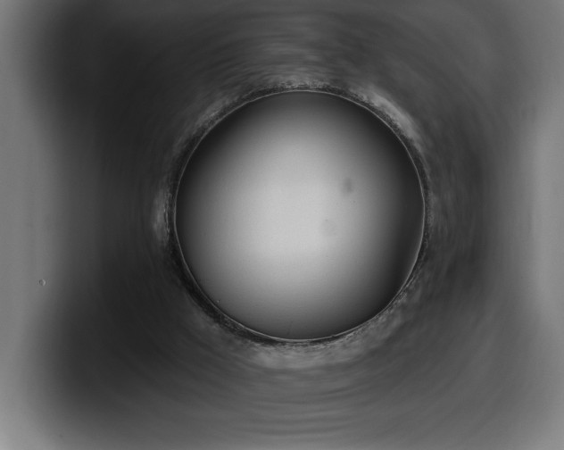 X0000100500009200806131445