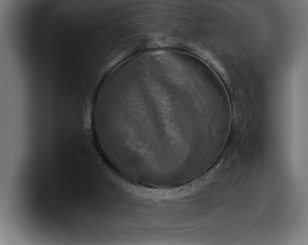 X0000100500010200806131445