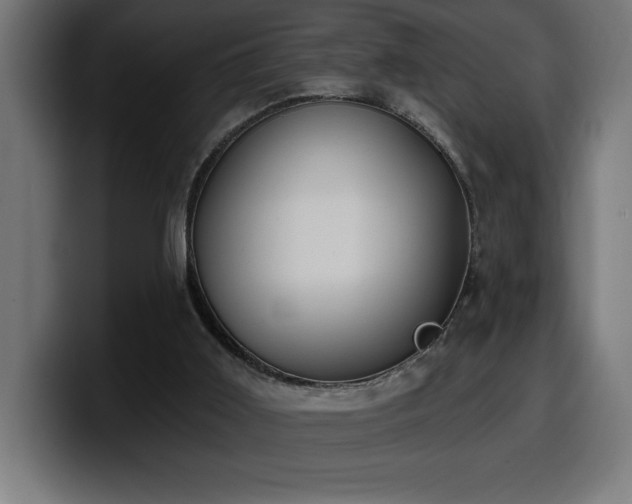 X0000100500011200806131445