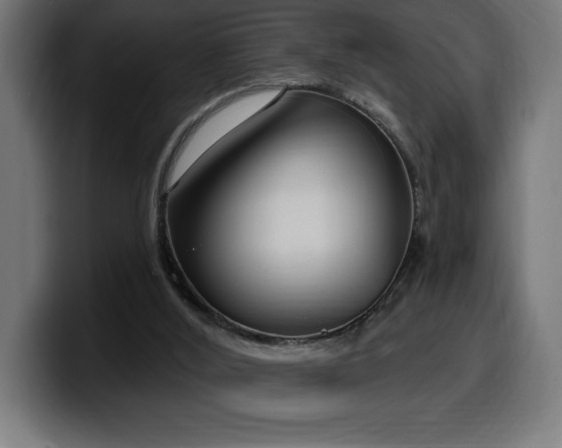 X0000100500012200806131445