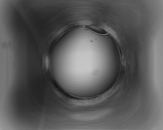 X0000100500013200806131445