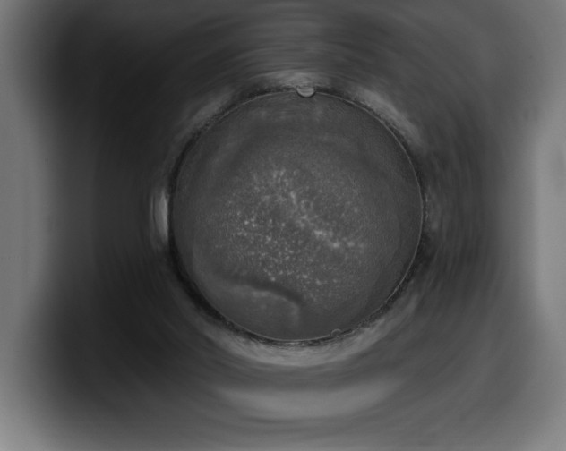 X0000100500014200806131445