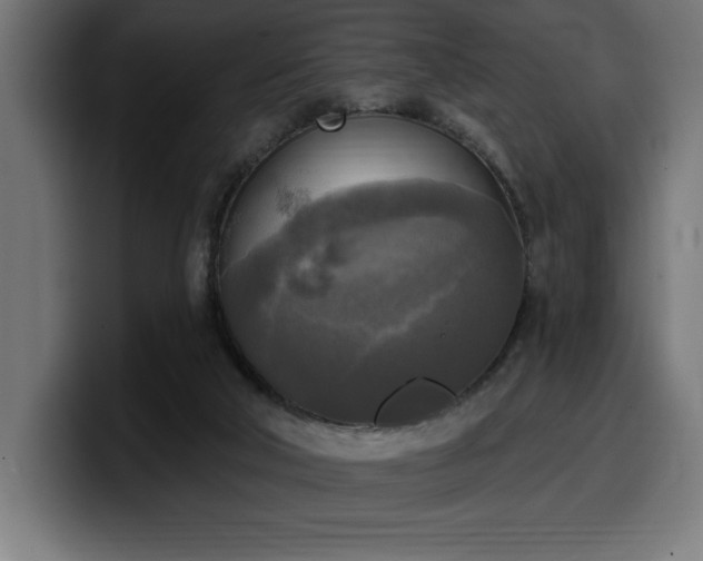 X0000100500018200806131445