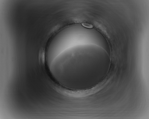 X0000100500019200806131445