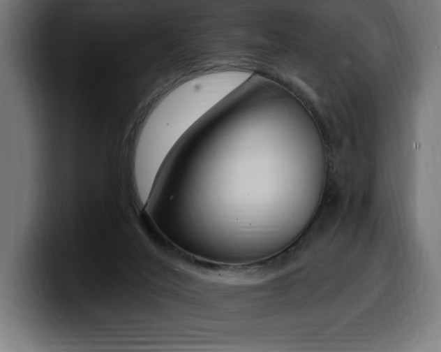 X0000100500020200806131445