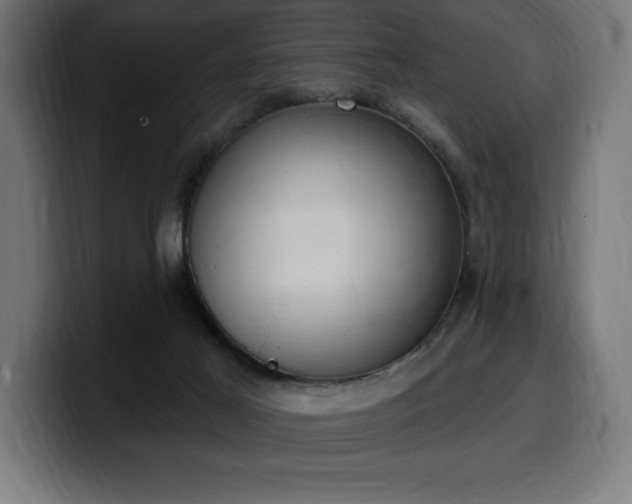 X0000100500021200806131445