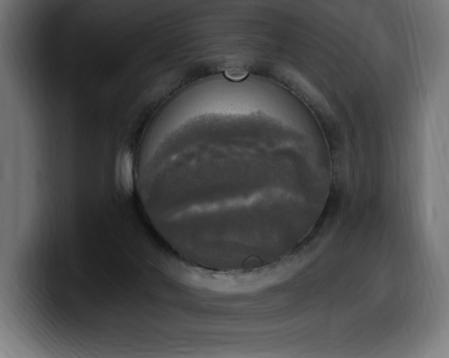 X0000100500022200806131445