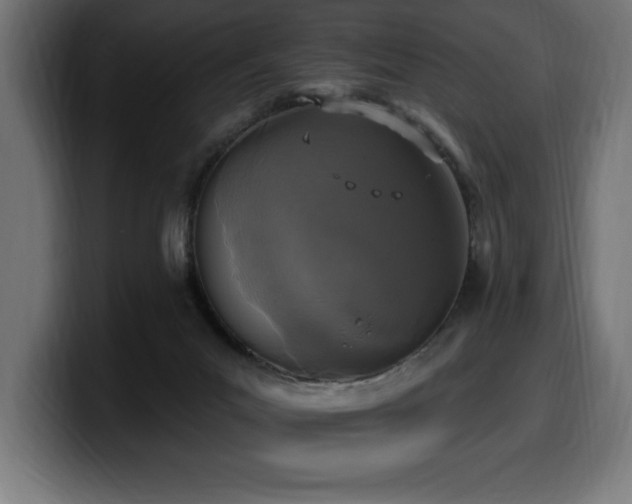 X0000100500023200806131445