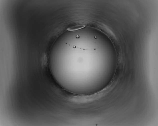 X0000100500025200806131445