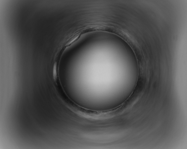 X0000100500028200806131445