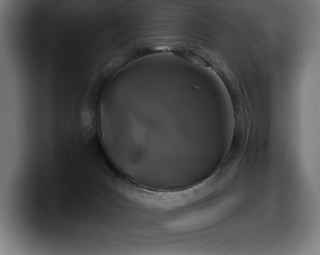 X0000100500031200806131445