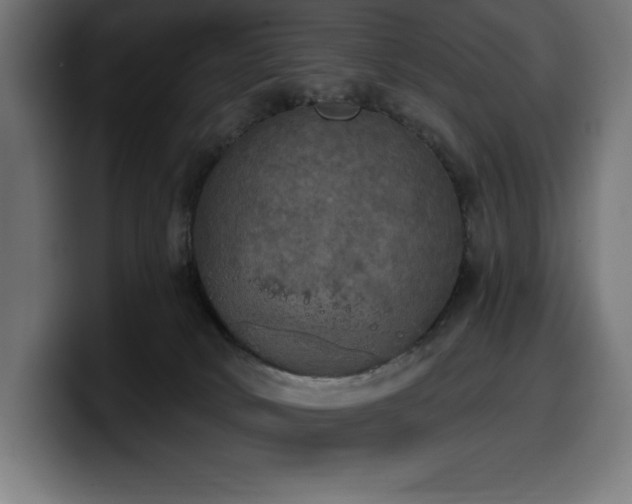 X0000100500034200806131445