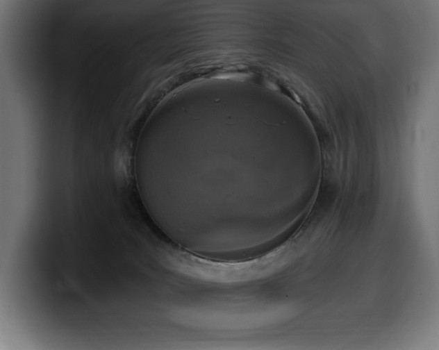 X0000100500035200806131445