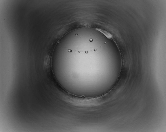 X0000100500036200806131445