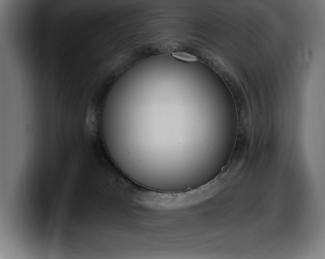 X0000100500037200806131445