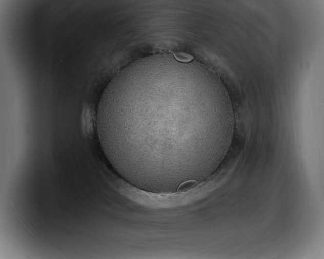 X0000100500038200806131445