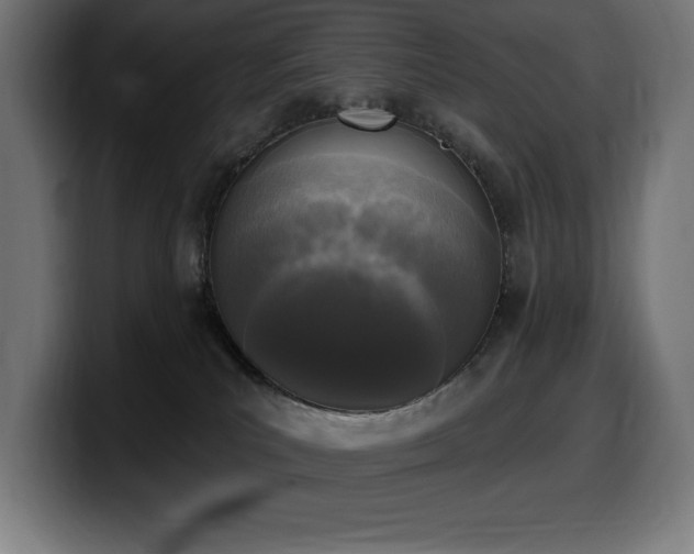 X0000100500039200806131445