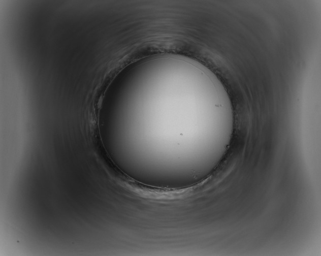 X0000100500040200806131445