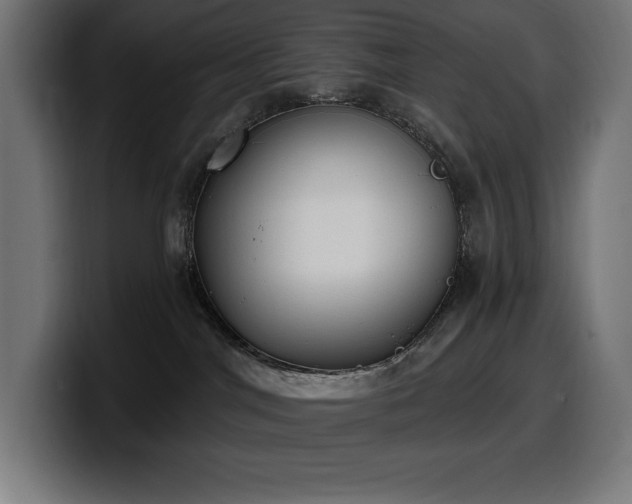 X0000100500044200806131445