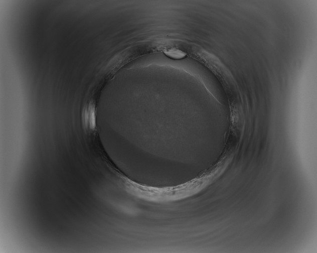 X0000100500046200806131445