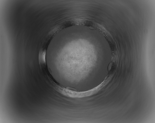 X0000100500047200806131445