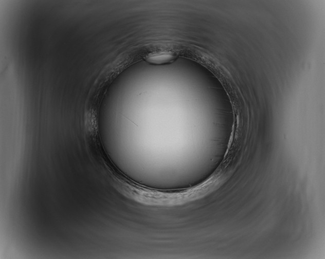 X0000100500048200806131445