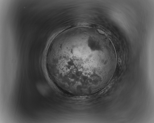 X0000100500049200806131444