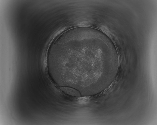 X0000100500050200806131444