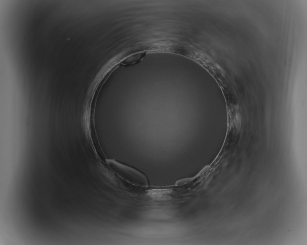 X0000100500051200806131444