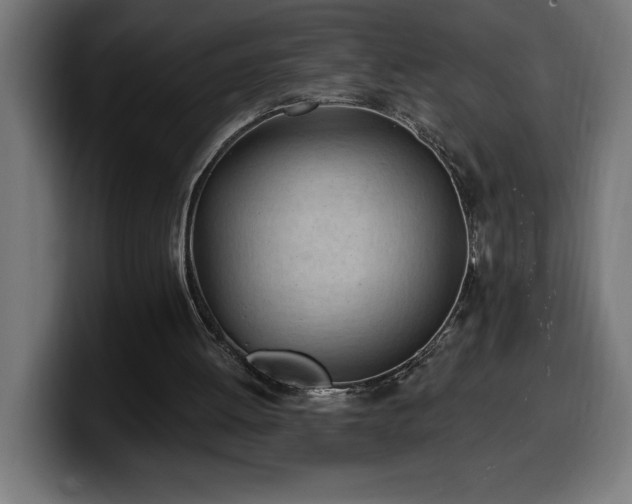 X0000100500052200806131444