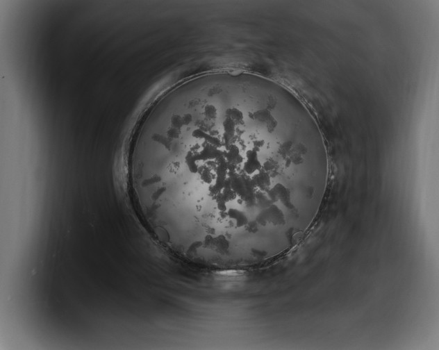 X0000100500053200806131444