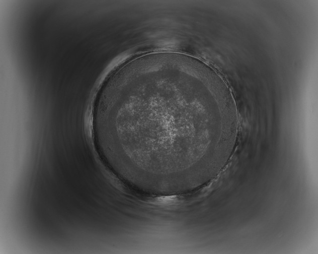 X0000100500054200806131444