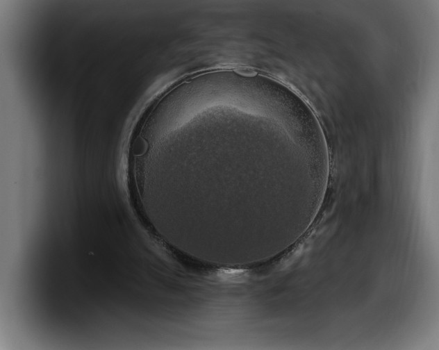 X0000100500055200806131444