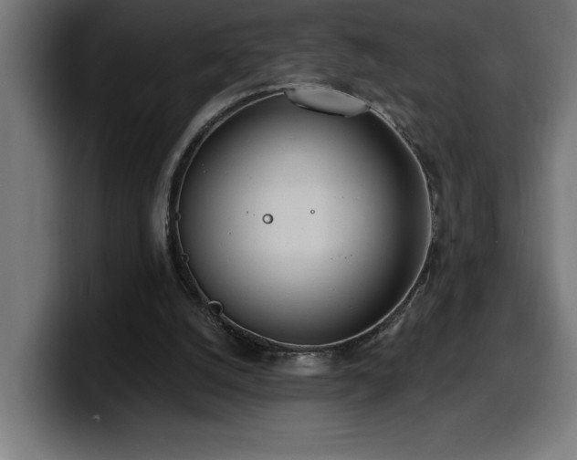 X0000100500056200806131444