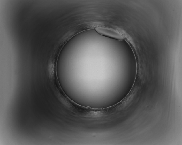 X0000100500057200806131444