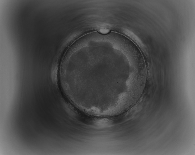 X0000100500058200806131444