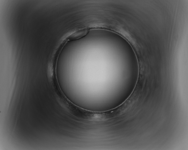 X0000100500060200806131444