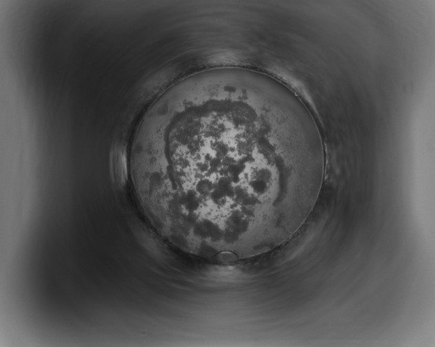 X0000100500061200806131444