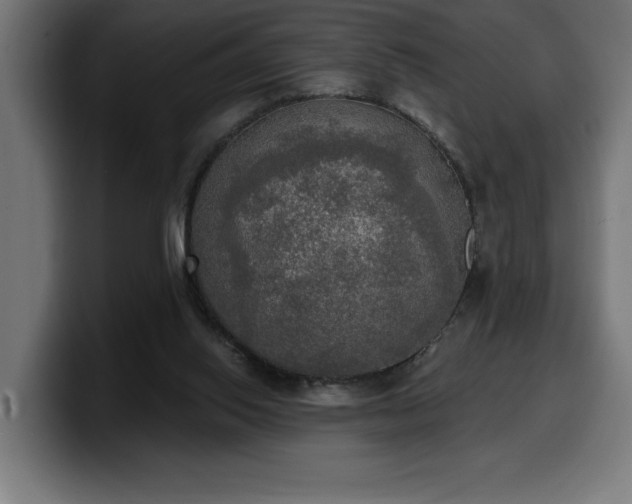 X0000100500062200806131444