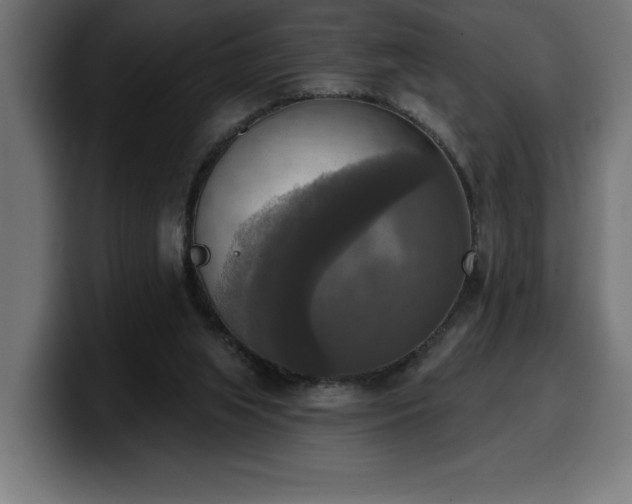 X0000100500063200806131444