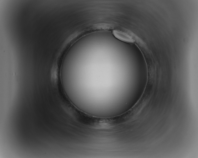 X0000100500064200806131444