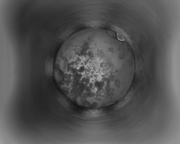 X0000100500065200806131444