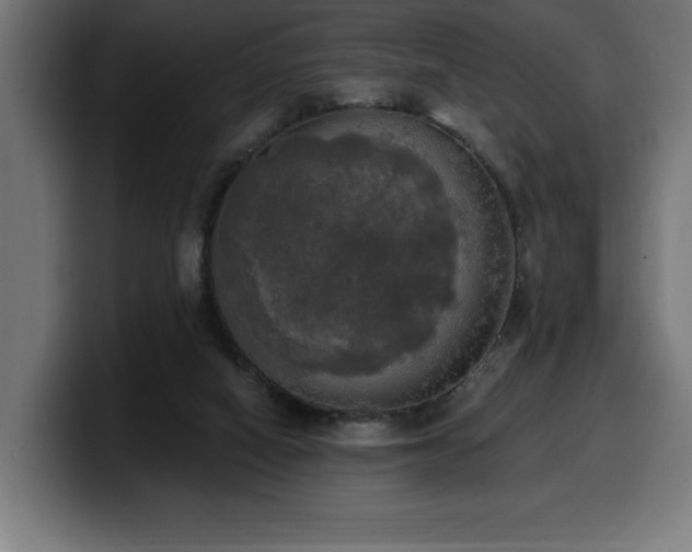 X0000100500066200806131444