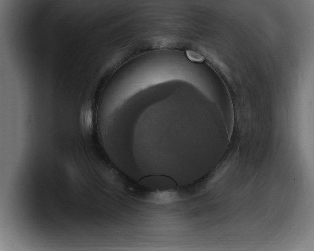 X0000100500067200806131445