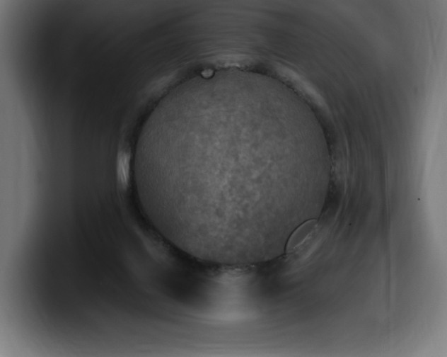 X0000100500070200806131445