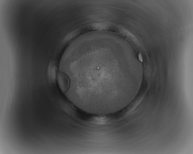 X0000100500071200806131445