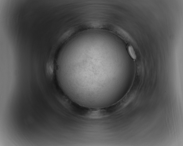 X0000100500072200806131445