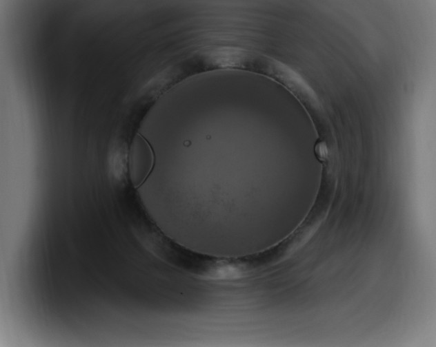 X0000100500073200806131445