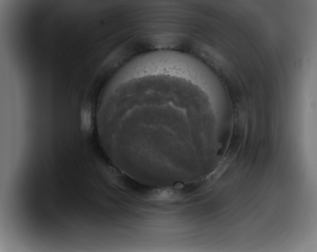 X0000100500074200806131445