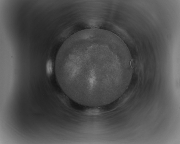 X0000100500075200806131445